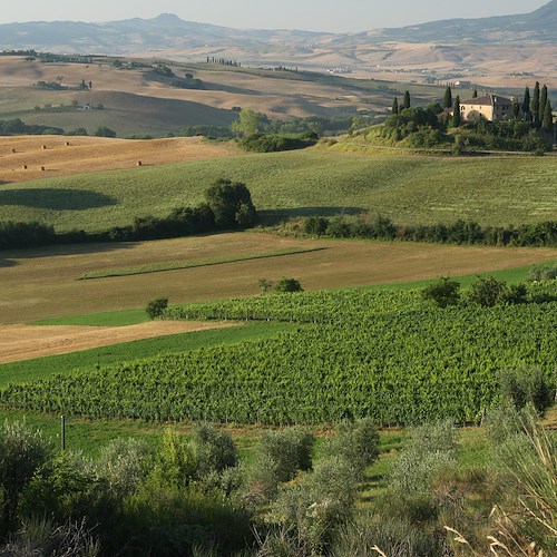 Orcia Wine Festival: i vini dell'Orcia DOC in vetrina tra arte e paesaggi "Unesco" 
